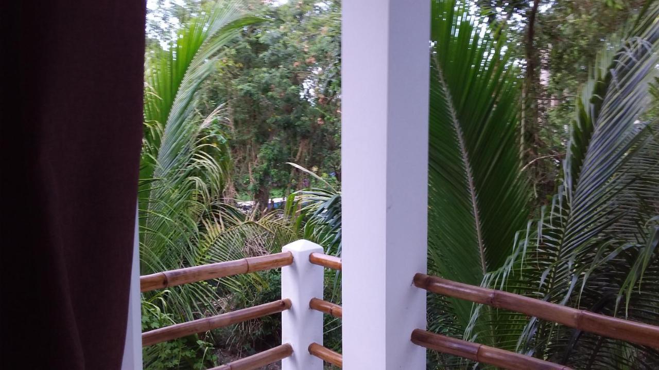 הוילה קוזומל Mini Pini Bird Watching And Cenote Loft מראה חיצוני תמונה