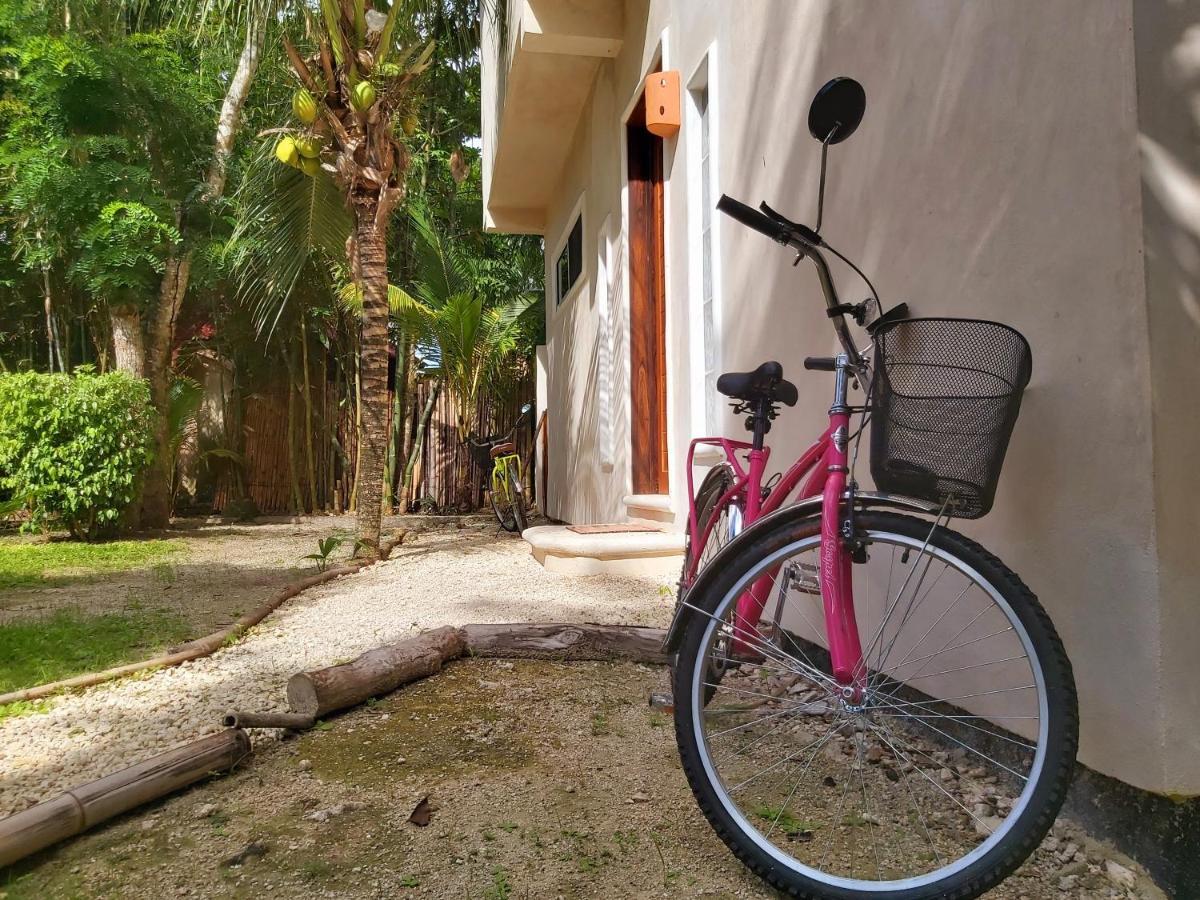 הוילה קוזומל Mini Pini Bird Watching And Cenote Loft מראה חיצוני תמונה
